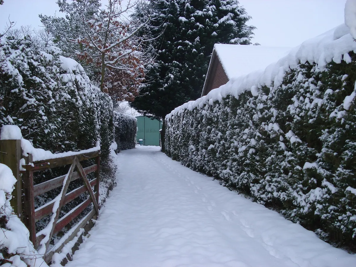 Winter Storm Prep Checklist for Rowan County: 14 Things to Do Before the First Freeze